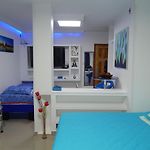 Delfin 207
